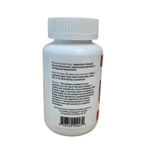 Meet Angel  VG-For Women 02.webp